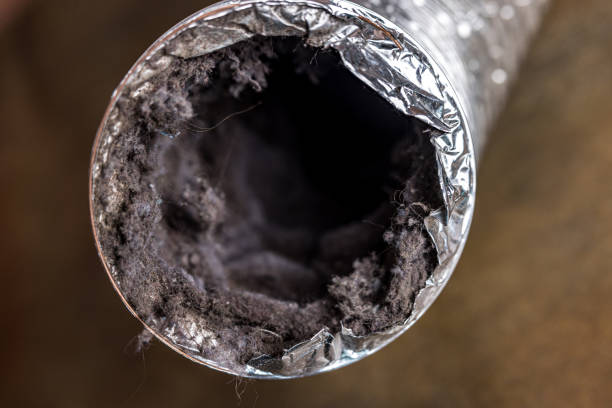 Best Professional Duct Cleaning Services  in Bryant, AR